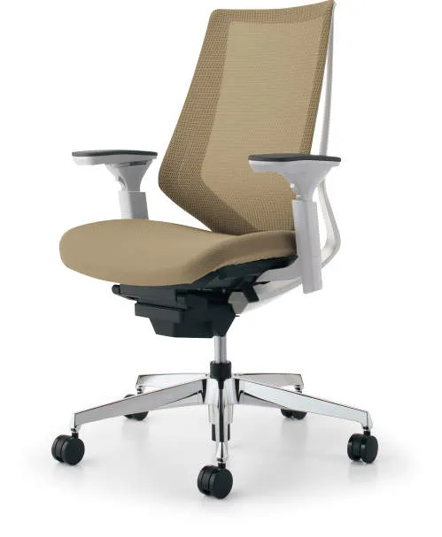 オフィスチェア（デュオラ）