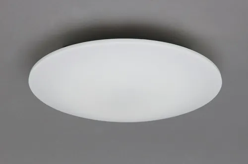 シーリングライト(LED･昼光･8畳用）