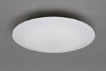 シーリングライト(LED･昼光･8畳用）